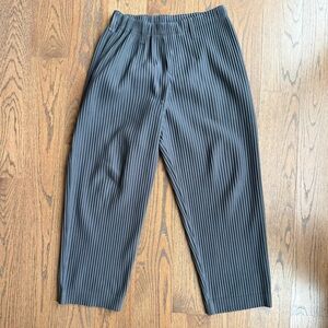 Issey Miyake Homme Plisse Size 2 Charcoal Pleated Pants